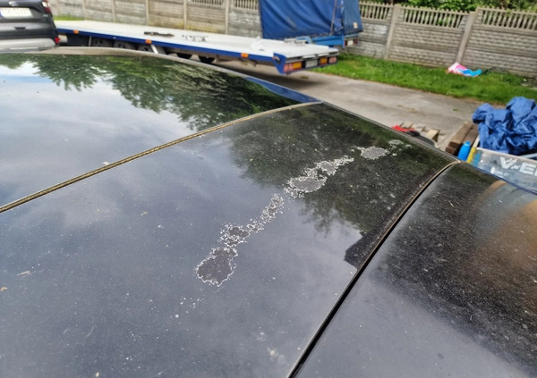 Alfa Romeo Brera cena 13900 przebieg: 189000, rok produkcji 2006 z Kielce małe 232